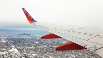 幼猫贪睡呼吸感觉比较快是啥缘故?该咋整?