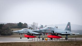 狗狗呼吸急促 一直甩头的缘由何在?该咋办?