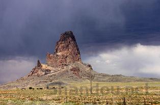 狗狗呼吸急促 一直甩头的缘由何在?该咋办?