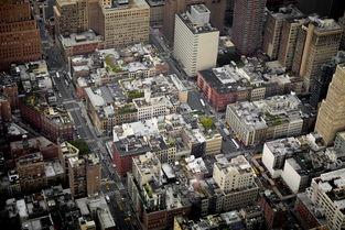 狗狗身上有红疹 肛门发红是什么缘故?要吃药吗?