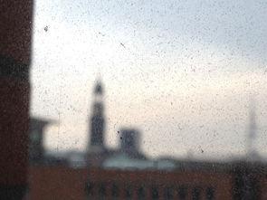 世界小说字数排行榜,世界最速小说排名榜前十