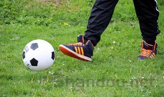 隔振器的作用是什么,隔振器品牌十大排名