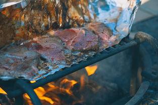 狗狗核酸查出支原体病毒阳性的缘由何在?该怎么办?