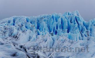猛禽实力排行榜,猛禽寿命十大排名