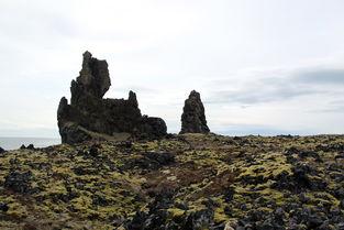 狗狗无精打采不吃东西瘦了很多,为何会这样?该怎么做才对?