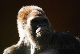 世界上最奇迹的点球,世界上最惨的点球大战