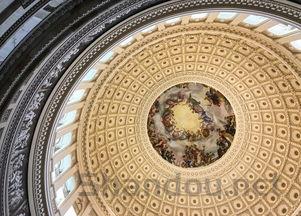 狗狗呼吸急促规律性痉挛轻微抽搐,为何会这样?要吃药吗?