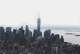 猫咪偶尔咳嗽喷气是啥缘故?猫咪偶尔咳嗽喷气怎么办?