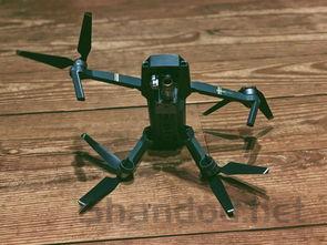 猫咪高处摔落后抽搐是什么原因?猫咪高处摔落后抽搐该怎么解决?