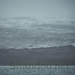 狗狗尿出像豆沙一样的血渍的缘由何在?该怎么做才对?