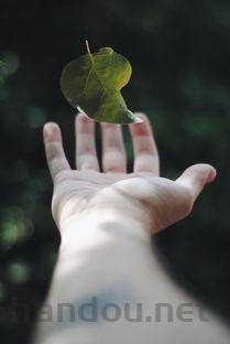 最可怕的病毒长什么样,可怕的病毒十大排名