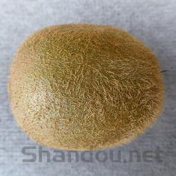 世界去疤痕最好的药膏是什么品牌?,世界祛疤痕产品排名前十