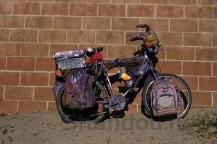 电动头盔十大排名品牌图片,电动头盔十大排名品牌