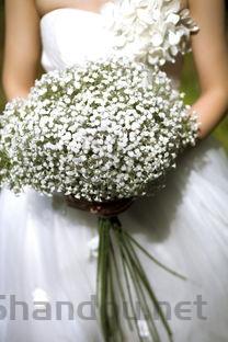 东莞婚纱照十大排名,东莞婚纱拍照圣地