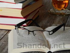 世界上最应该学的语言是,世界上必学的语言