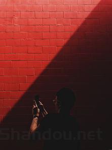 中国比较出名的音乐会,中国史上最巅峰的音乐会