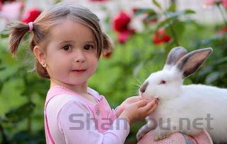 猫咪时不时末端软便是什么原因导致的?猫咪时不时末端软便该怎么处理?