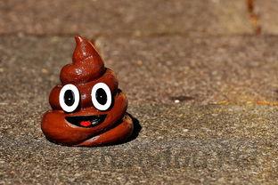 猫咪排完尿还有血是什么原因?猫咪排完尿还有血怎么办?