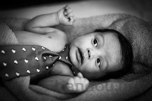 小猫拉稀是何原因?小猫拉稀要怎么调理?