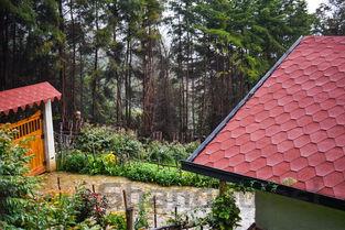 中国最幸福农村别墅,中国最幸福的村庄