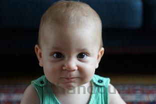 小奶猫吐奶块是什么原因导致的?小奶猫吐奶块要怎么改善?